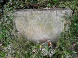image of grave number 241041